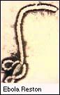 Ebola Reston